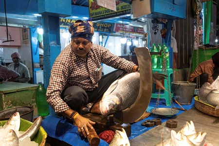 India-Kolkata-Fishmonger-1
