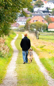 Germany-Leimbach-Man-Walking-Dog-On-Country-Road