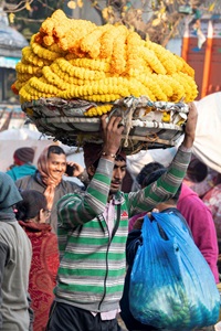 India-Kolkata-Flower-Market-2