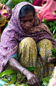 India-Kolkata-Flower-Market-Woman-1