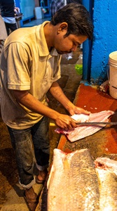 Kolkata-India-man-filleting-fish