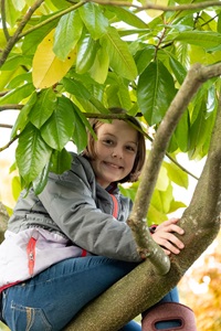 Washington-Snohomish-Girl-In-Tree