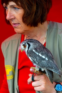 Germany-Cologne-Woman-With-Owl
