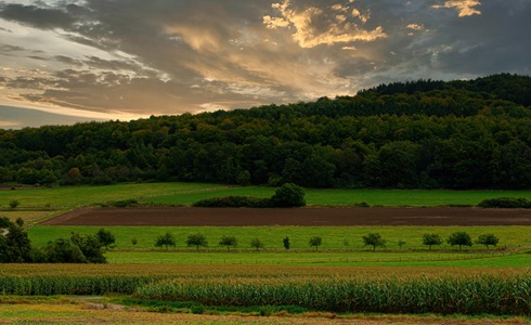 Germany-Leimbach-Farmers-Field