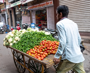 India-Jodhpur-Man-Pushing-Vegetable-Cart
