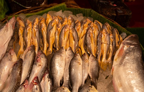 India-Kolkata-Fish-For-Sale