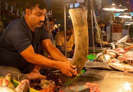 India-Kolkata-Fishmonger-2
