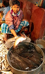 India-Kolkata-Fishmonger