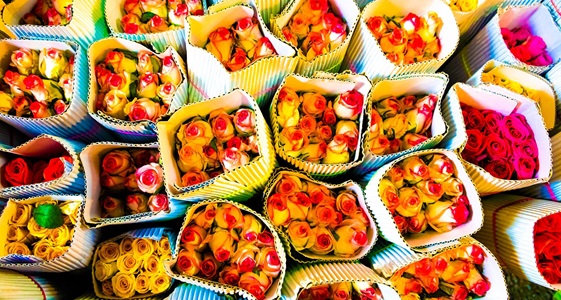 Kolkata-India-flower-Market