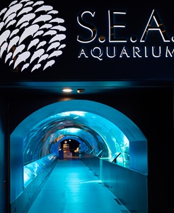 Singapore-Aquarium-Enterance