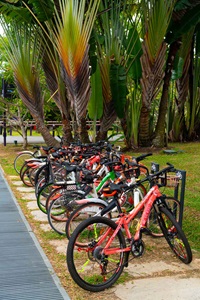 Singapore-Bycycles-2